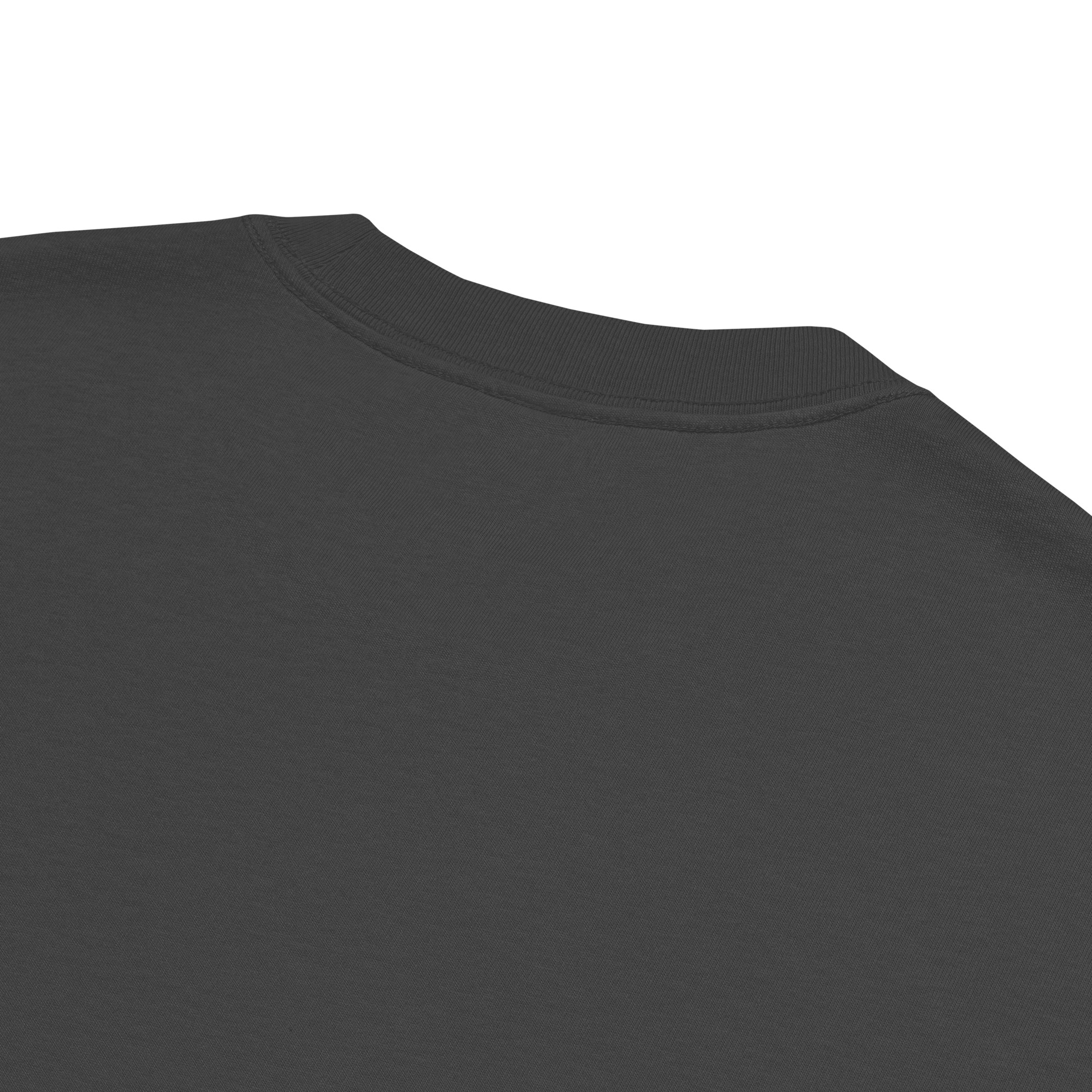 CROCODILE OVERSIZED FADED T-SHIRT – Bild 3