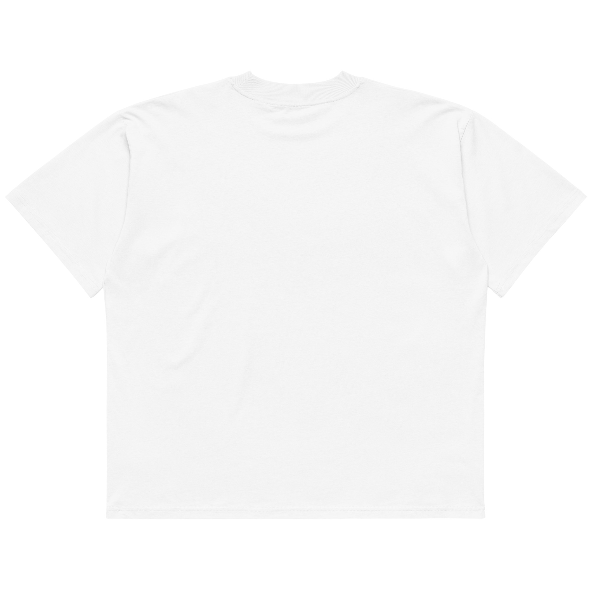 ZEBRA STARS LOGO OVERSIZED T-SHIRT – Bild 8